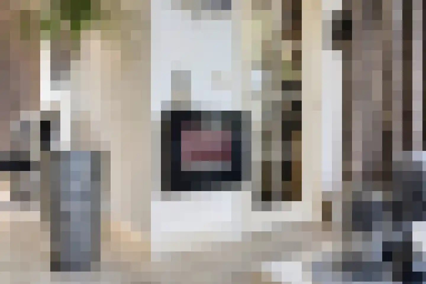 Eindstraat 56 Drunen thumbnail 15