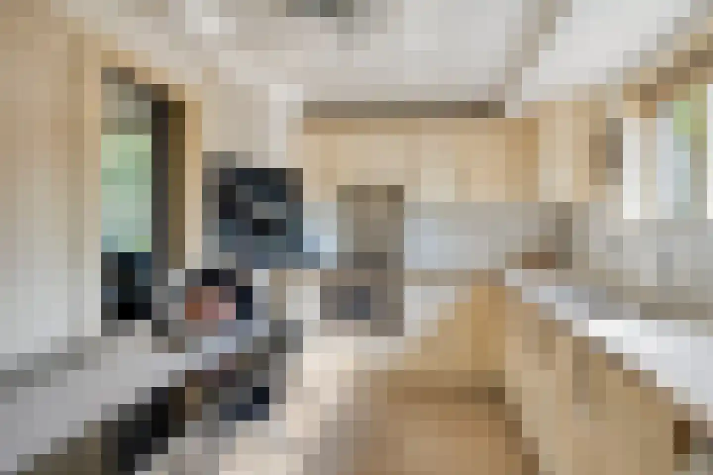 Eindstraat 56 Drunen thumbnail 21