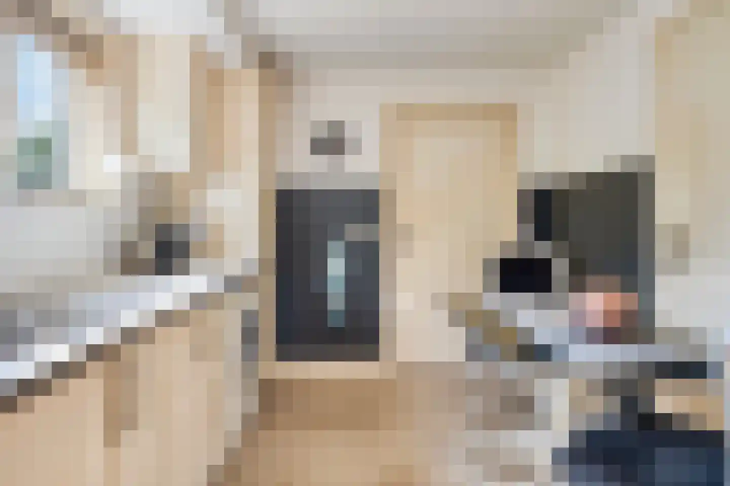 Eindstraat 56 Drunen foto 3