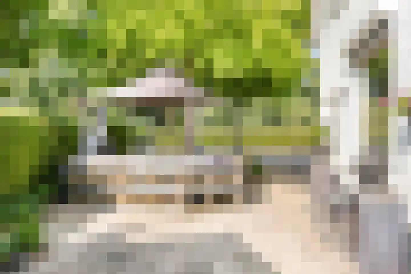 Eindstraat 56 Drunen thumbnail 39