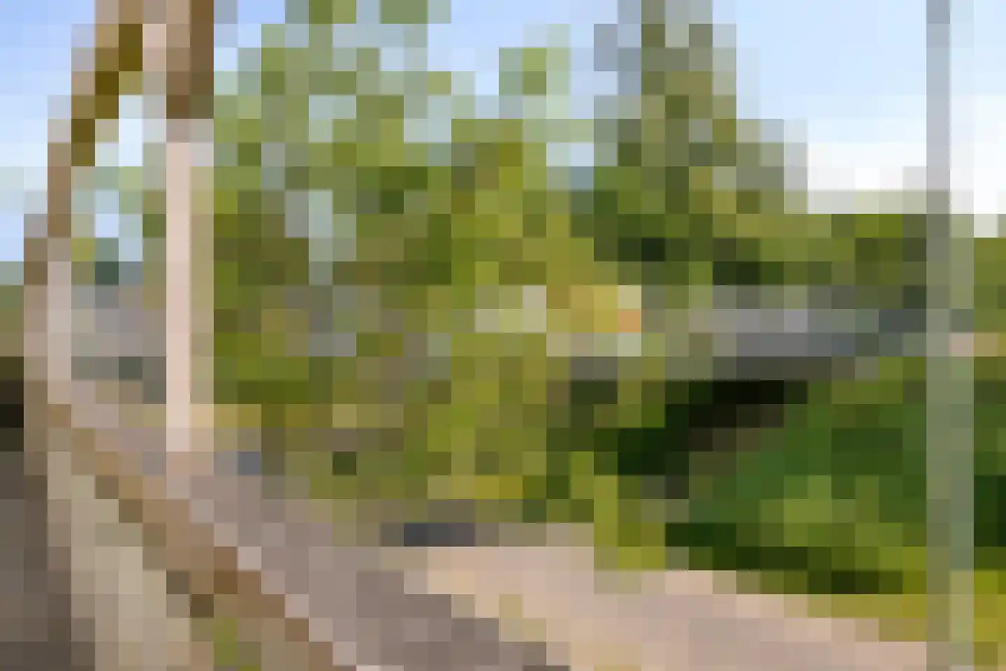 Eindstraat 56 Drunen thumbnail 46