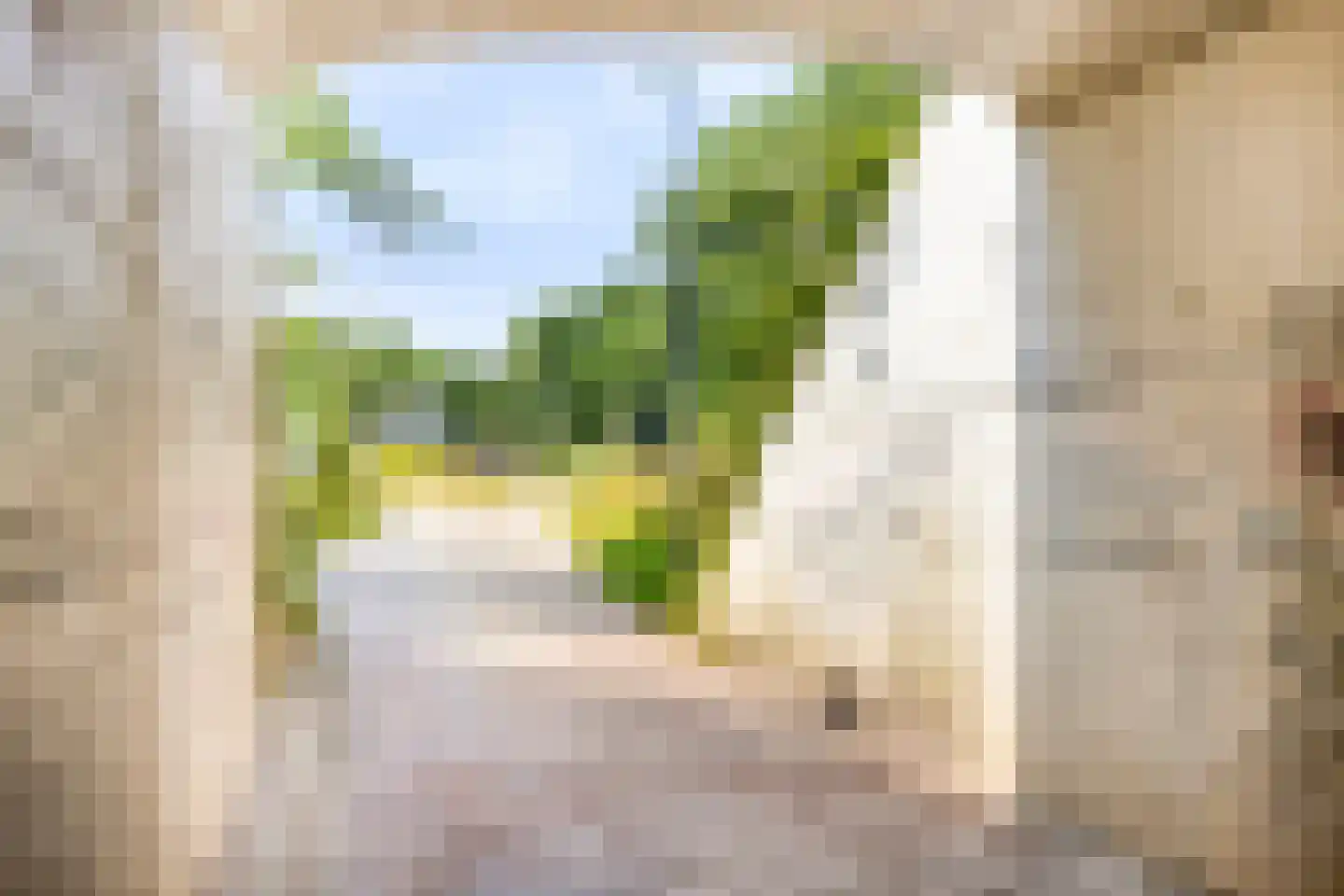Eindstraat 56 Drunen thumbnail 49