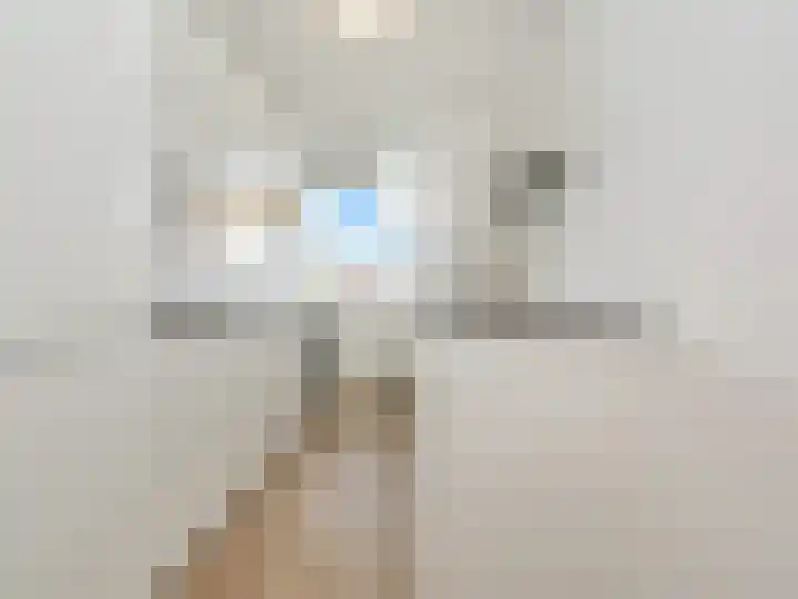 Einsteinlaan 107 Badhoevedorp thumbnail 11