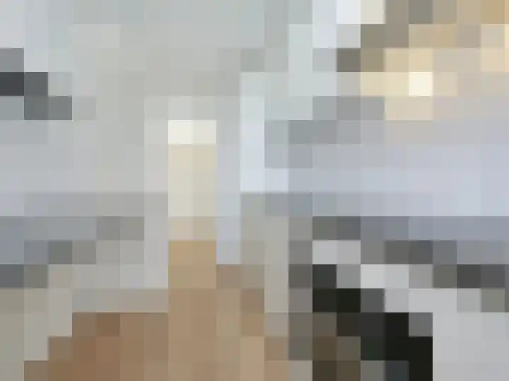 Einsteinlaan 107 Badhoevedorp thumbnail 13