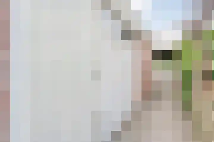 Einsteinlaan 107 Badhoevedorp thumbnail 21
