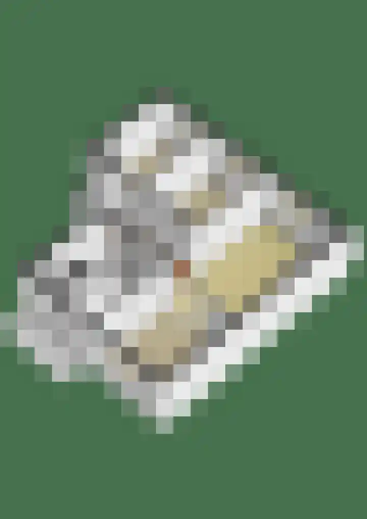 Einsteinlaan 107 Badhoevedorp thumbnail 33