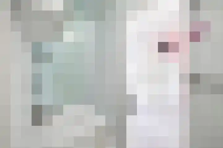 Einsteinlaan 141 Badhoevedorp thumbnail 11