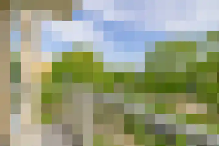 Einsteinlaan 141 Badhoevedorp thumbnail 18