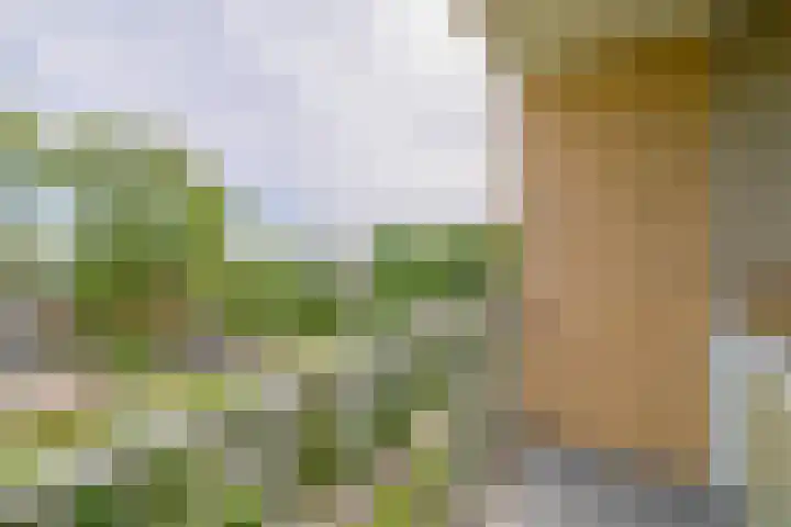 Einsteinlaan 141 Badhoevedorp thumbnail 19