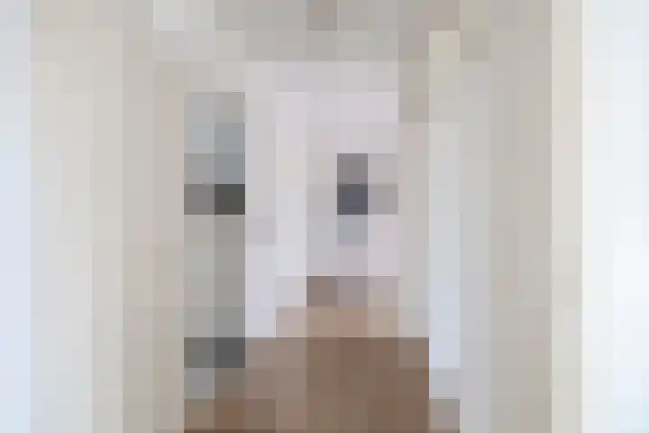 Einsteinlaan 141 Badhoevedorp thumbnail 8