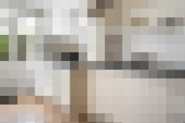 Einsteinlaan 18 Assen thumbnail 11
