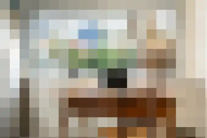 Einsteinlaan 18 Assen thumbnail 29