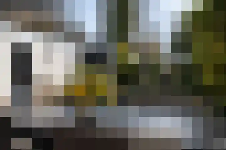 Einsteinlaan 18 Assen thumbnail 37
