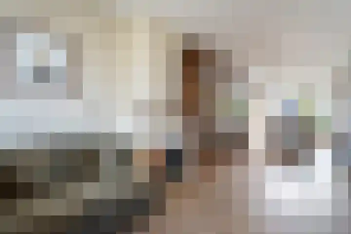Einsteinlaan 18 Assen thumbnail 5