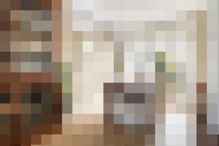 Einsteinlaan 18 Assen thumbnail 7