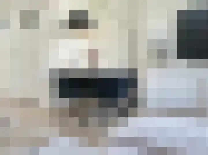 Einsteinlaan 251 Badhoevedorp thumbnail 21