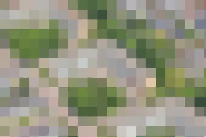 Einsteinlaan 251 Badhoevedorp thumbnail 35