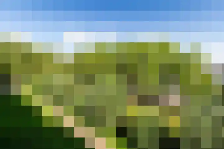 Einsteinlaan 301 Badhoevedorp thumbnail 35