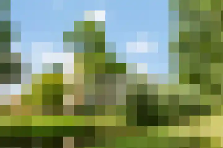 Einsteinlaan 301 Badhoevedorp thumbnail 38
