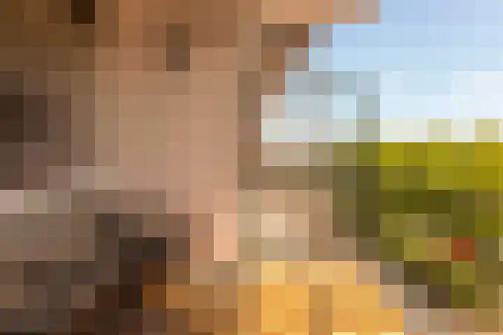 Einsteinlaan 39 Badhoevedorp thumbnail 13