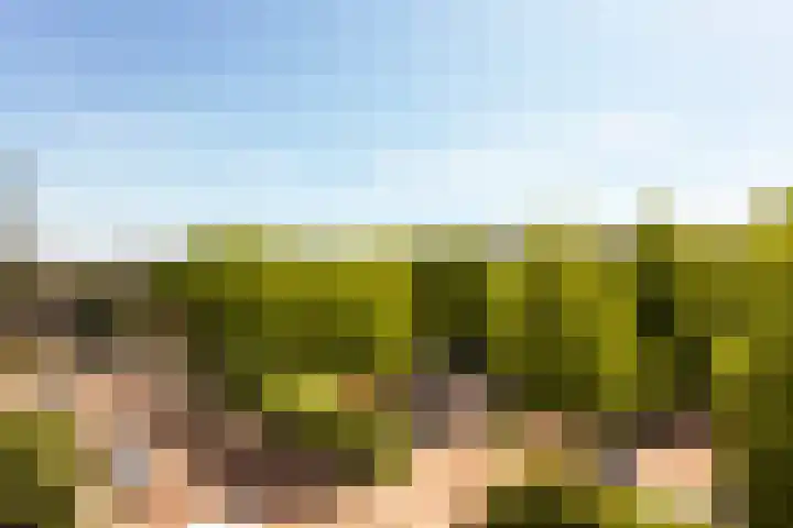Einsteinlaan 39 Badhoevedorp thumbnail 14