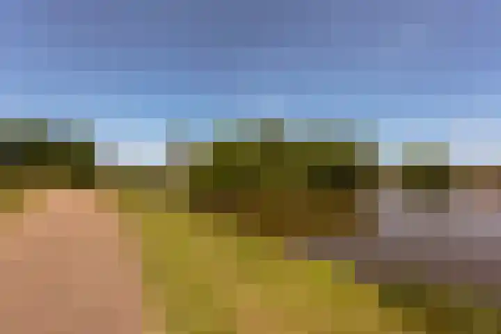 Einsteinlaan 39 Badhoevedorp thumbnail 31