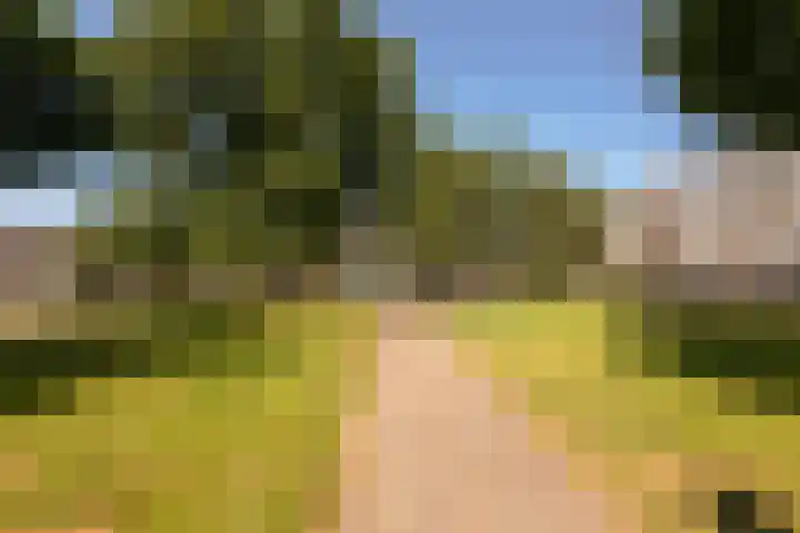 Einsteinlaan 39 Badhoevedorp thumbnail 32