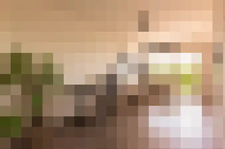 Einsteinlaan 39 Badhoevedorp thumbnail 9
