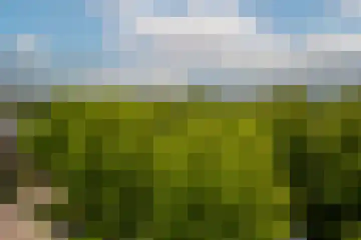 Einsteinlaan 51 Badhoevedorp thumbnail 14