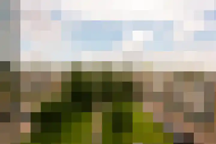 Einsteinlaan 51 Badhoevedorp thumbnail 29