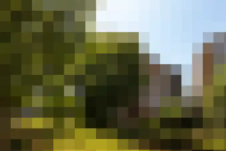 Einsteinlaan 51 Badhoevedorp thumbnail 34