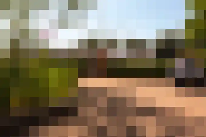 Einsteinlaan 51 Badhoevedorp thumbnail 37