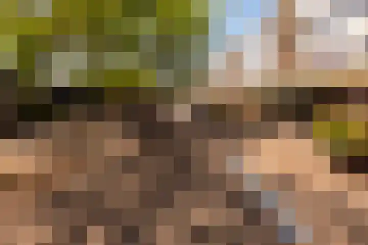Einsteinlaan 51 Badhoevedorp thumbnail 38