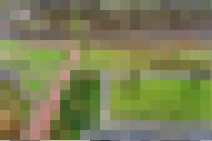 Einsteinplaats 1121 Rotterdam thumbnail 43