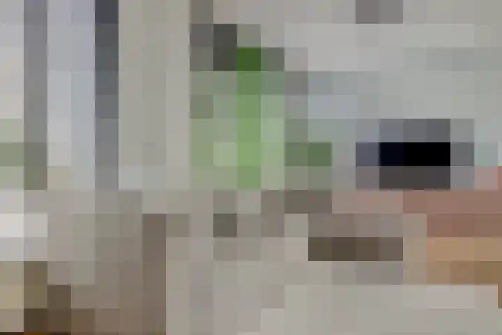 Einsteinplaats 837 Rotterdam thumbnail 20