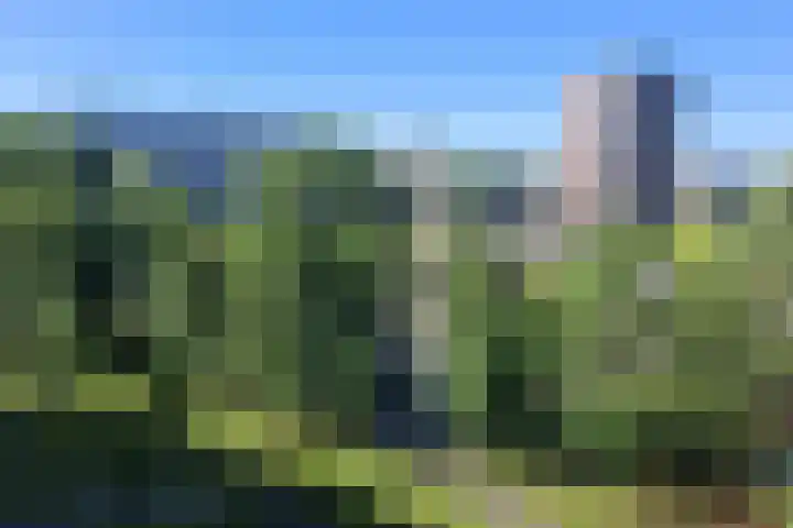 Einsteinplaats 853 Rotterdam thumbnail 16
