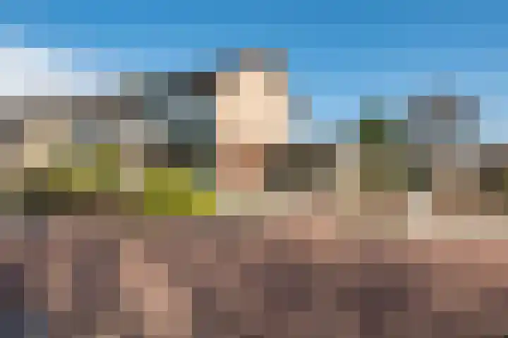 Einsteinplaats 877 Rotterdam thumbnail 6
