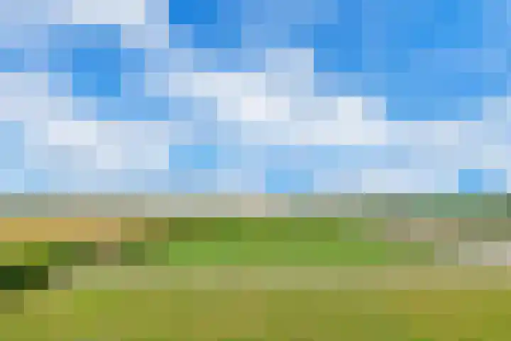 Einsteinplaats 877 Rotterdam thumbnail 8