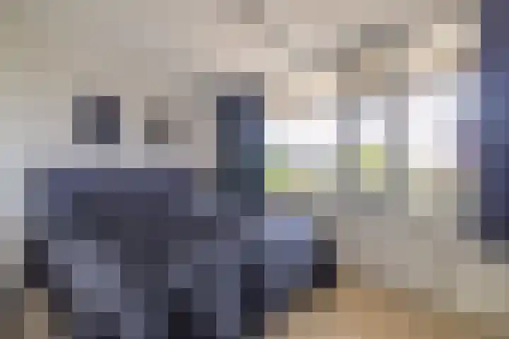 Einsteinplaats 983 Rotterdam thumbnail 15