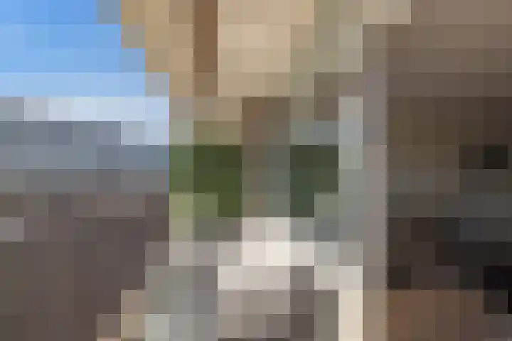 Einsteinplaats 983 Rotterdam thumbnail 20