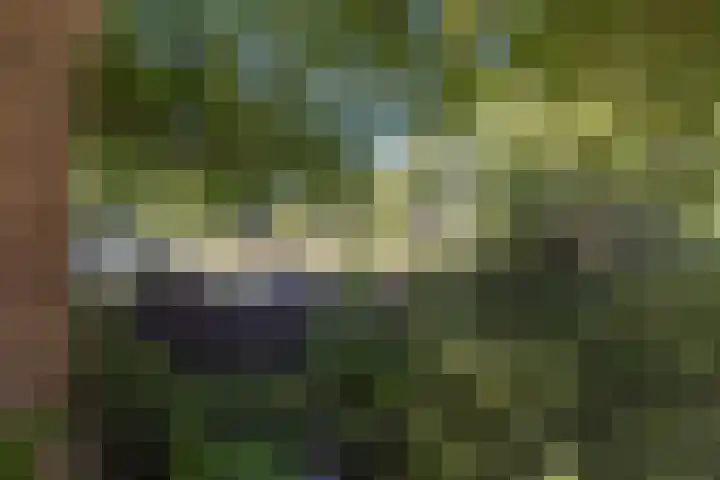 Einsteinplaats 983 Rotterdam thumbnail 27