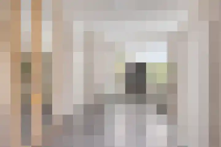 Einsteinstraat 1 Boxtel thumbnail 11