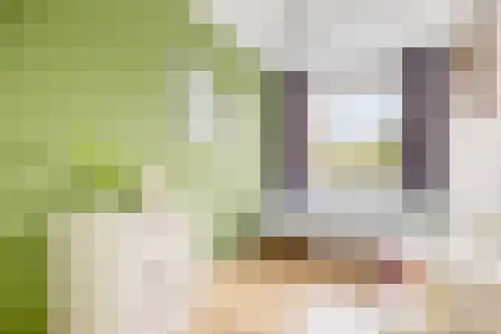 Einsteinstraat 1 Boxtel thumbnail 19