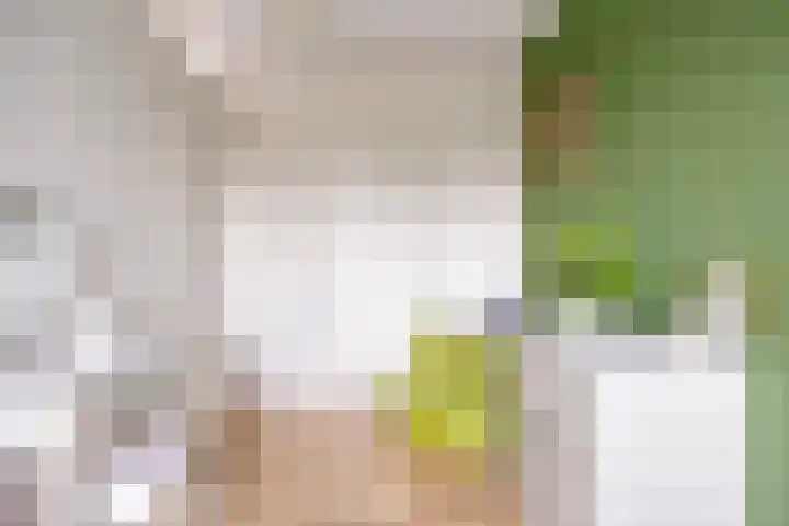 Einsteinstraat 1 Boxtel thumbnail 20
