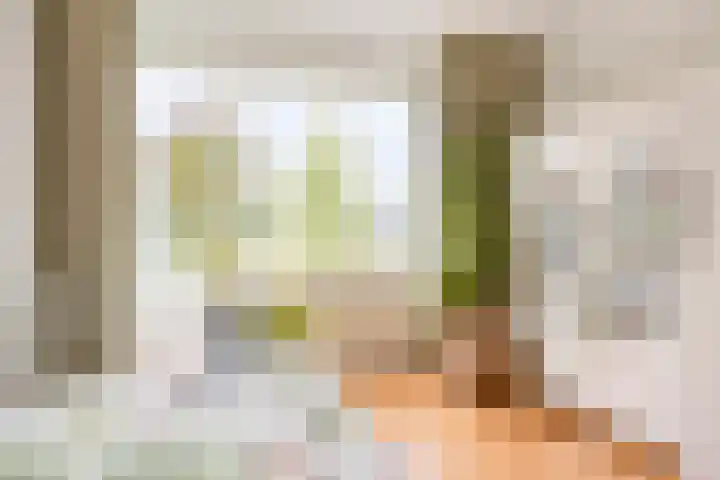 Einsteinstraat 1 Boxtel thumbnail 22