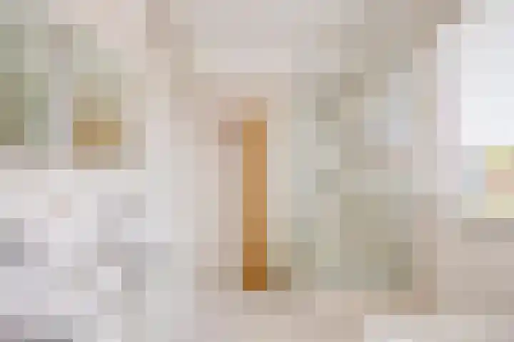 Einsteinstraat 1 Boxtel thumbnail 26
