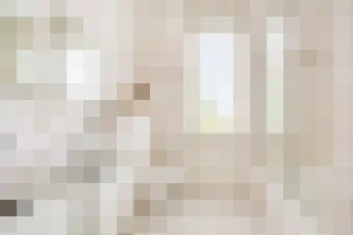 Einsteinstraat 1 Boxtel thumbnail 27
