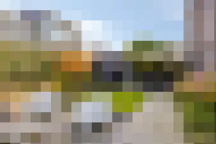 Einsteinstraat 1 Boxtel thumbnail 32