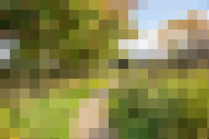 Einsteinstraat 1 Boxtel thumbnail 38