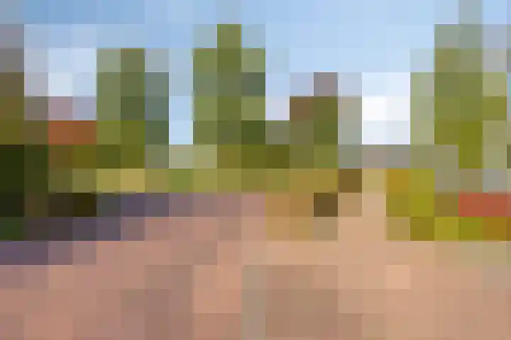 Einsteinstraat 1 Boxtel thumbnail 41